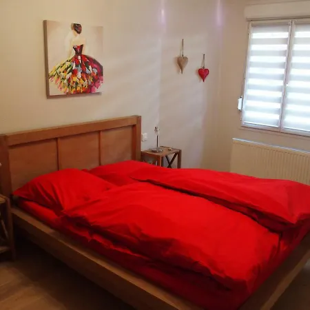 L'appart D'anne Apartment Ribeauville (Haut-Rhin)